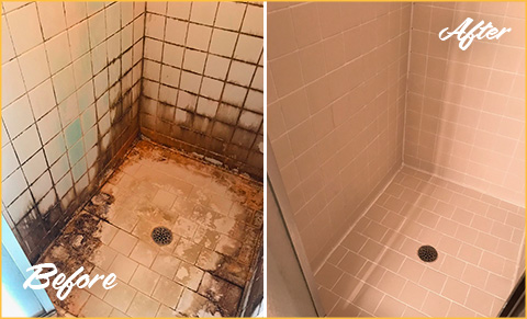 https://www.sirgroutbuckspa.com/images/148/tile-grout-cleaning-sealing-caulking-services-480.jpg