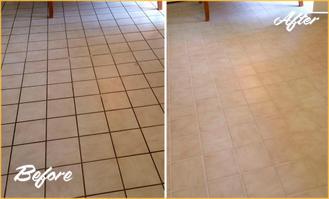 https://www.sirgroutbuckspa.com/images/p/g/1/tile-grout-cleaners-dirty-floor-480.jpg