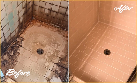 https://www.sirgroutbuckspa.com/images/p/g/1/tile-grout-cleaners-water-damage-shower-480.jpg