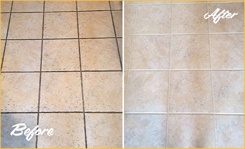 Increase Profits with DryMaster Tilex- Tile & Grout Cleaning